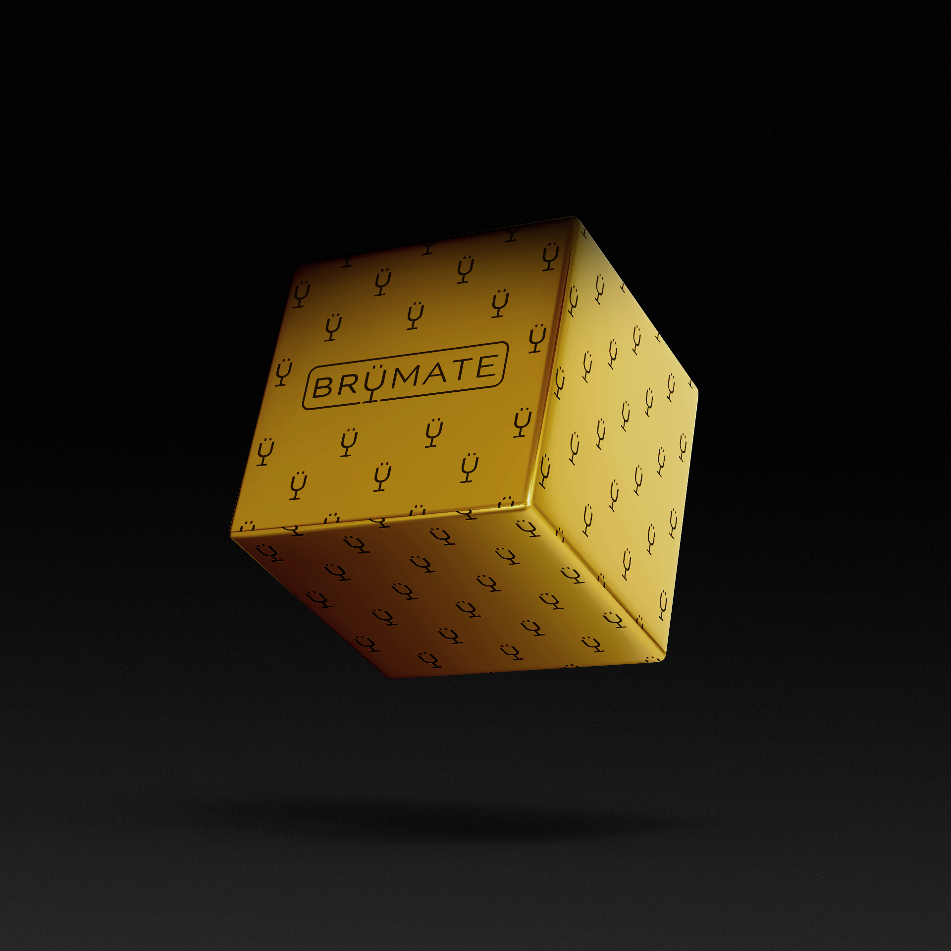 premium-mystery-item-39-70-value-n2 IMG-1548.png